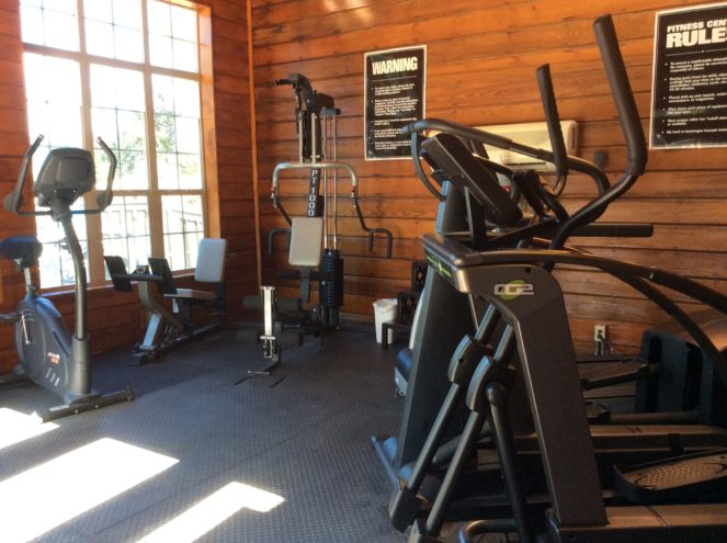 Pepper Tree Image 10