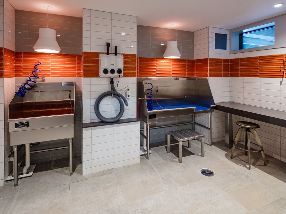 Russell Building Brand New WAG Pet Spa