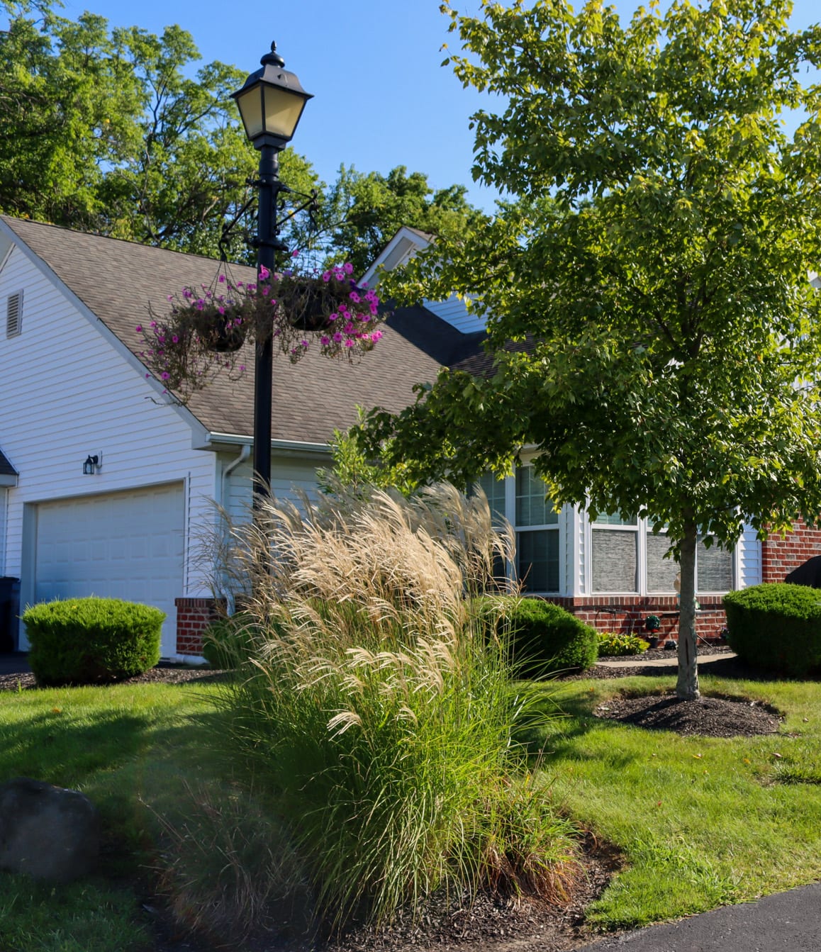 The Glen at Taylor Square Image 1