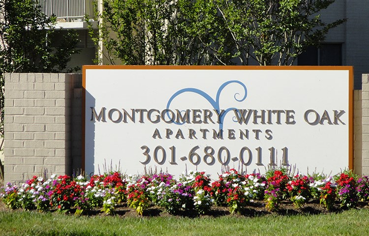 Montgomery White Oak Image 1