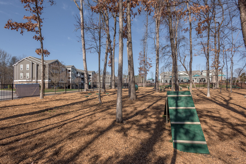Ashton Reserve At Northlake Image 13