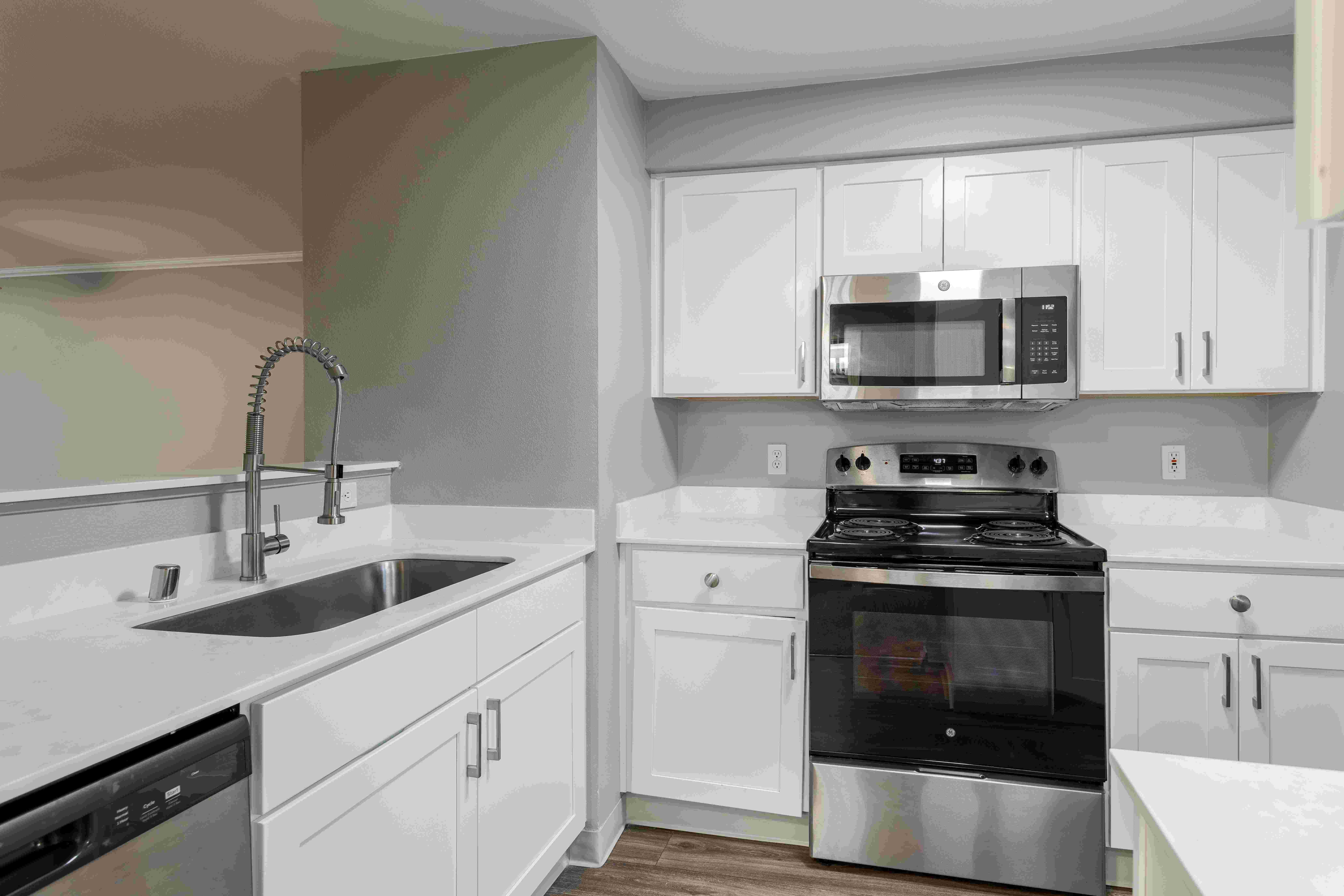 Langara Image 7