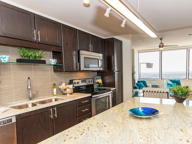 Abundant Counter and Cabinet Space