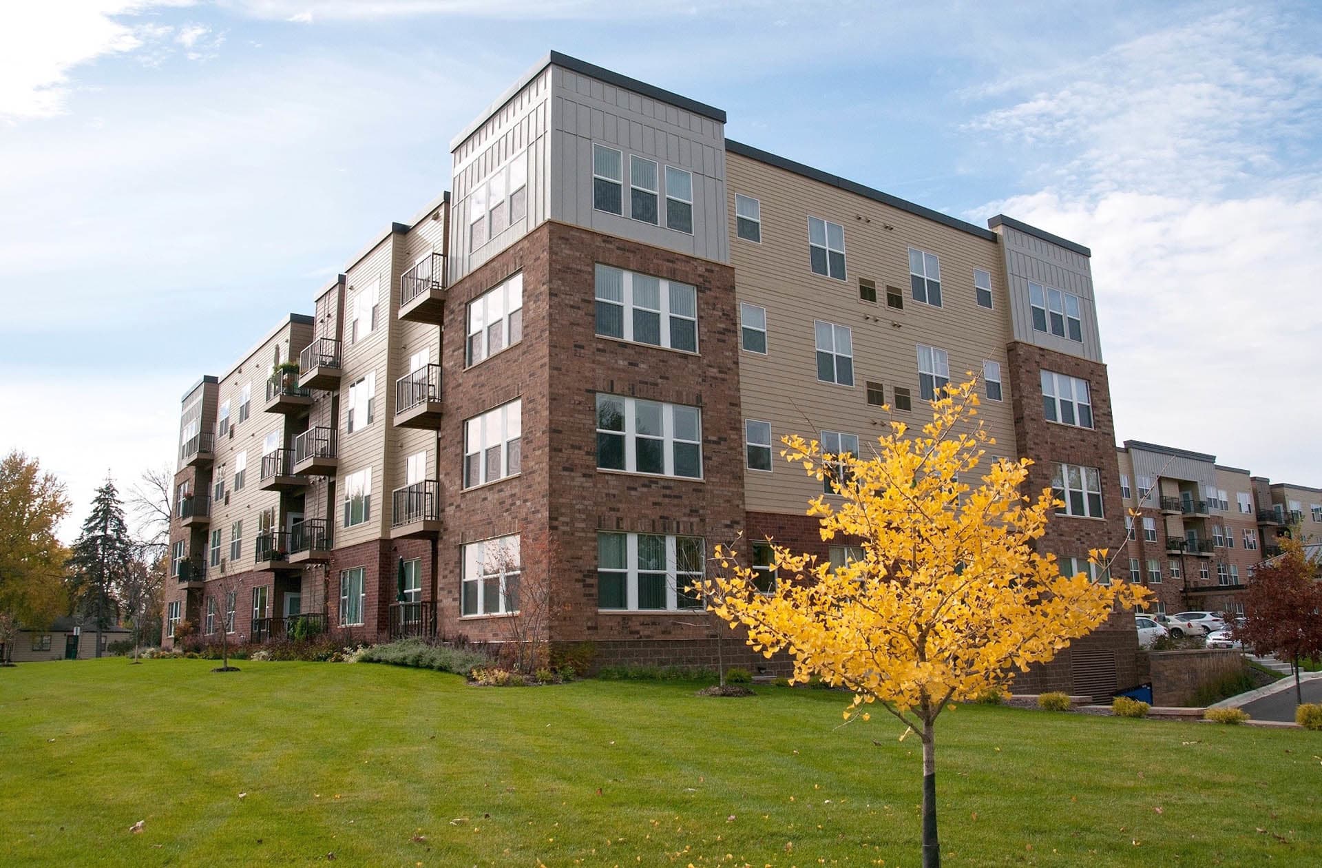 The Cavanagh Image 2