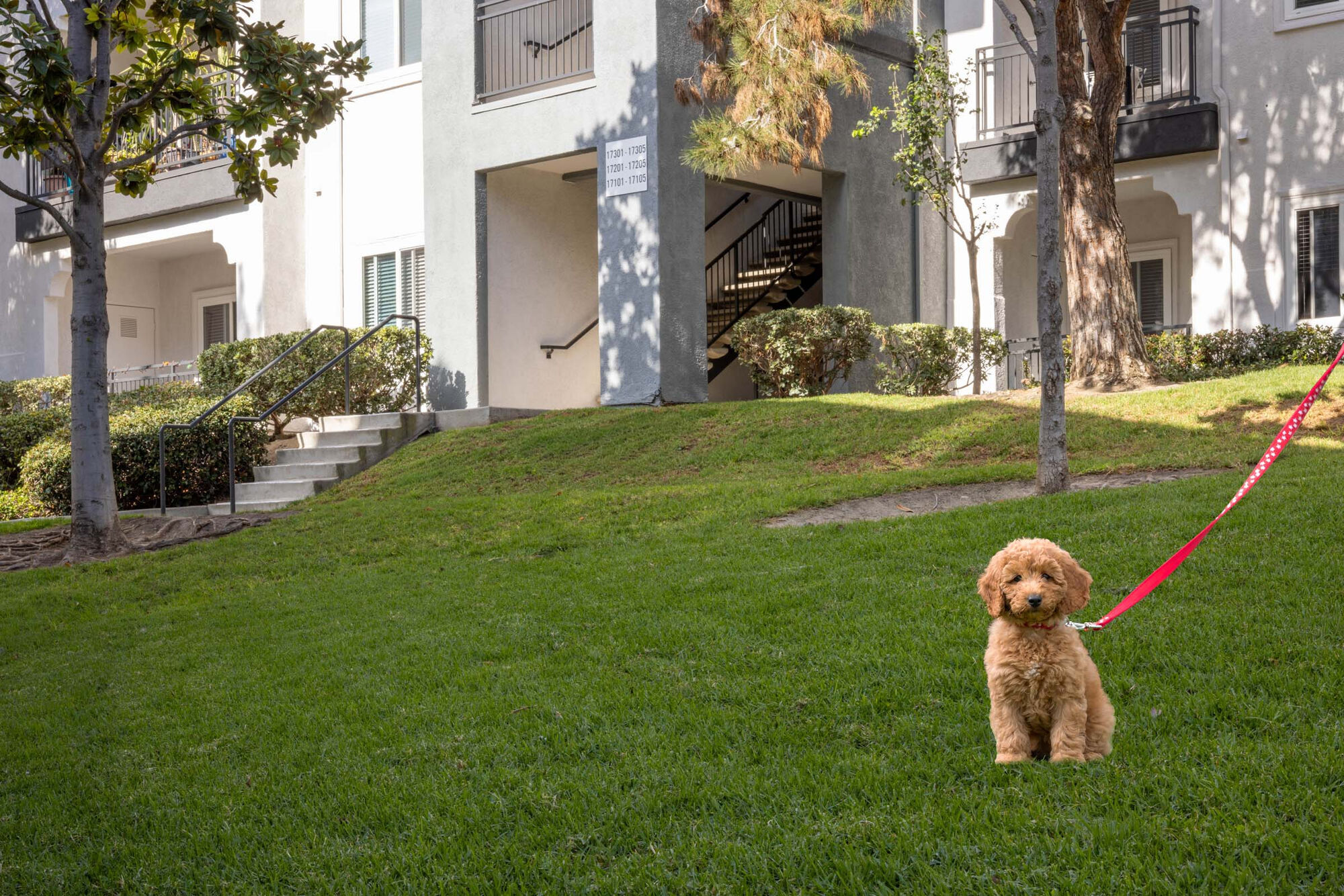 Camden Sierra at Otay Ranch Image 30