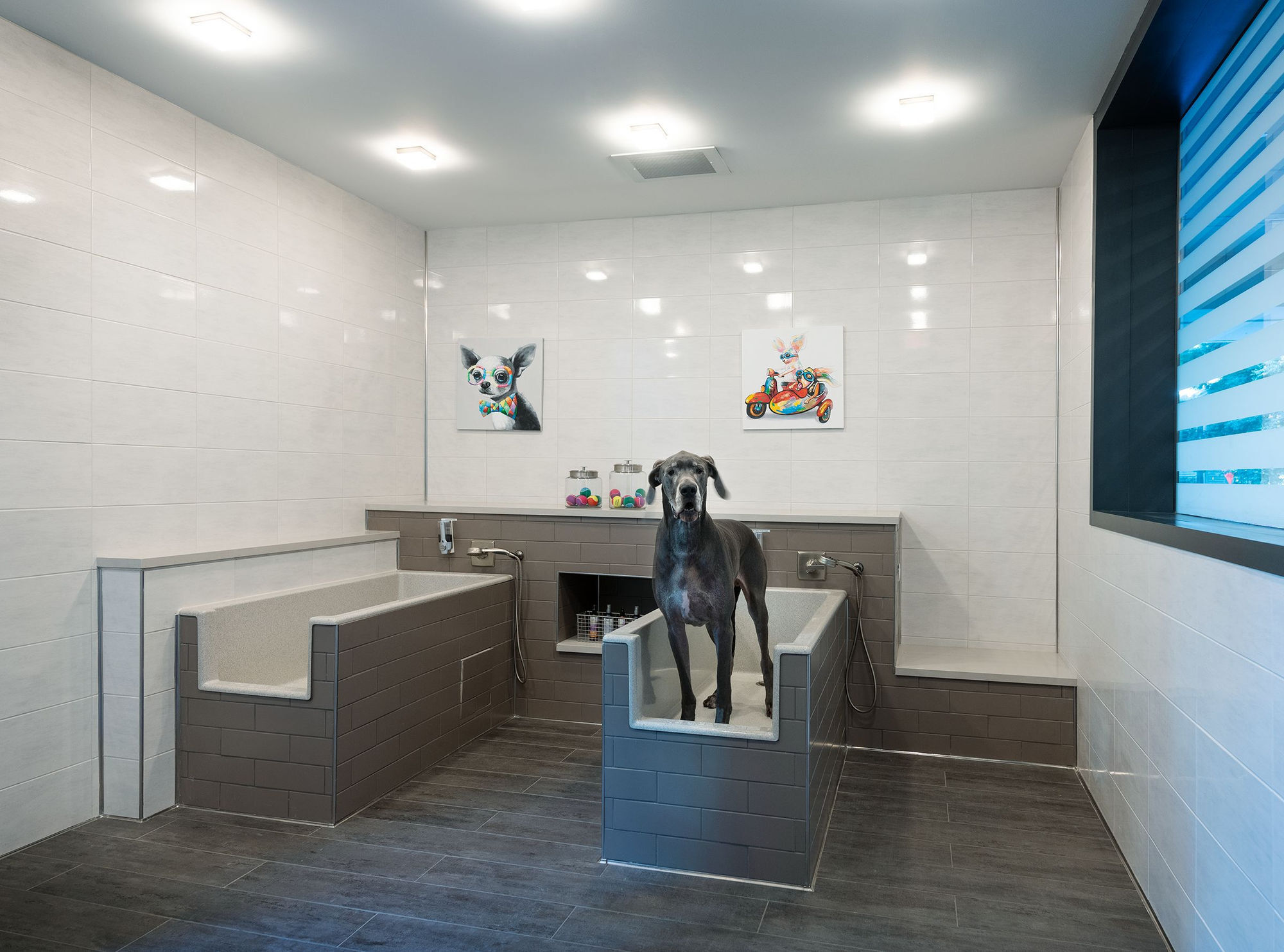 The Dagny Midtown Apartments Image 28