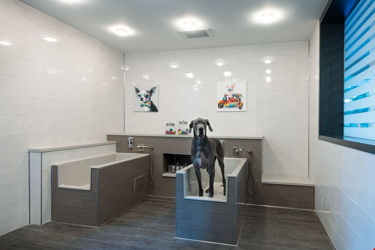 The Dagny Midtown Apartments Image 28