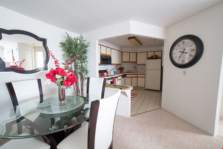 Water's Edge Towers Image 7