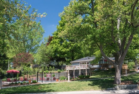 Spring Brook Image 3