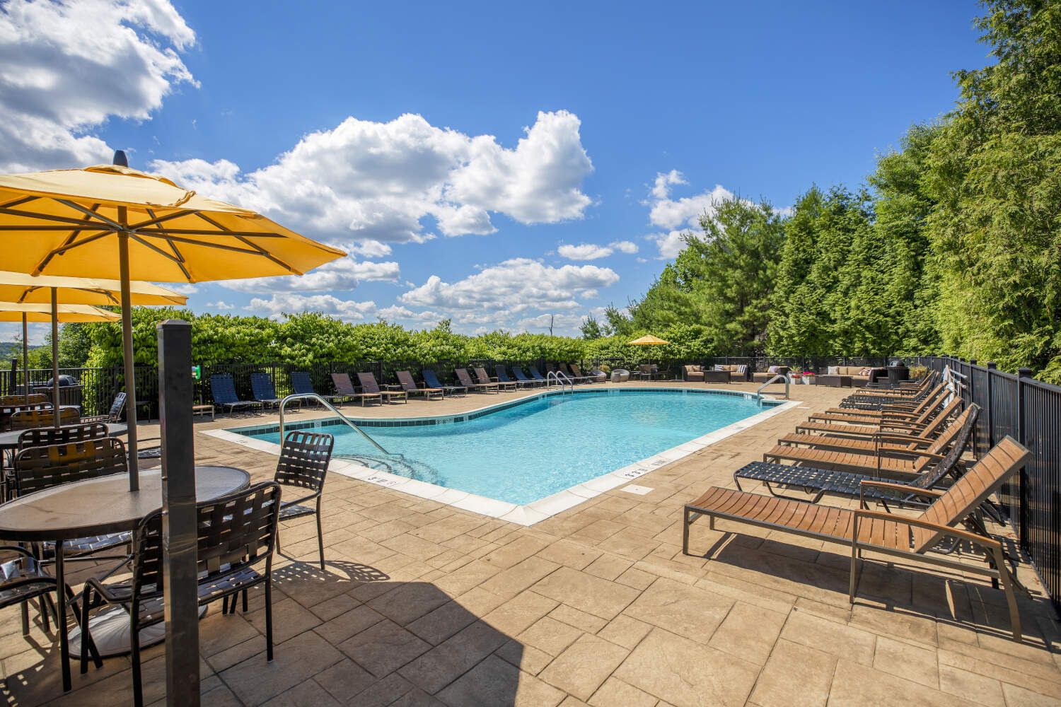 The Point at Still River Image 1