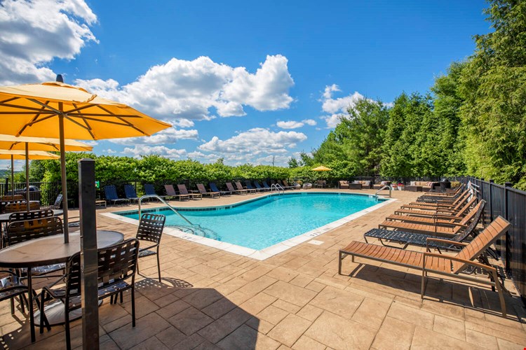 The Point at Still River Image 1