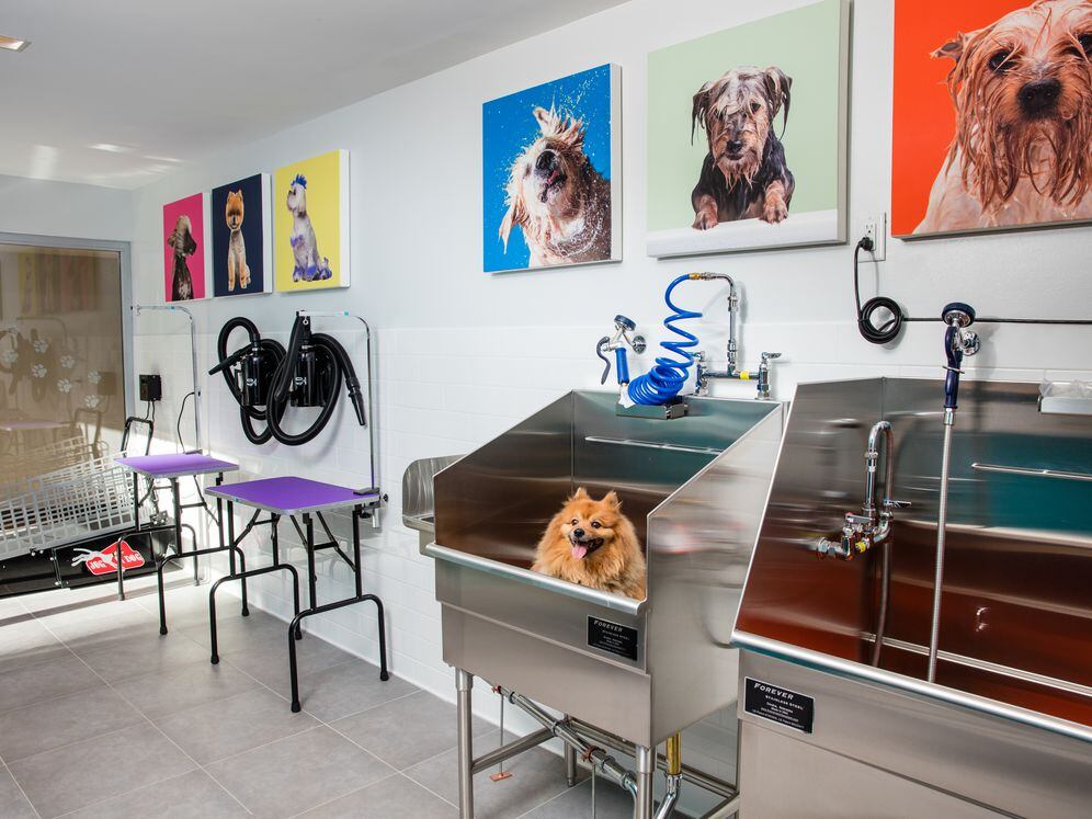 WAG pet spa with bathing and grooming equipment