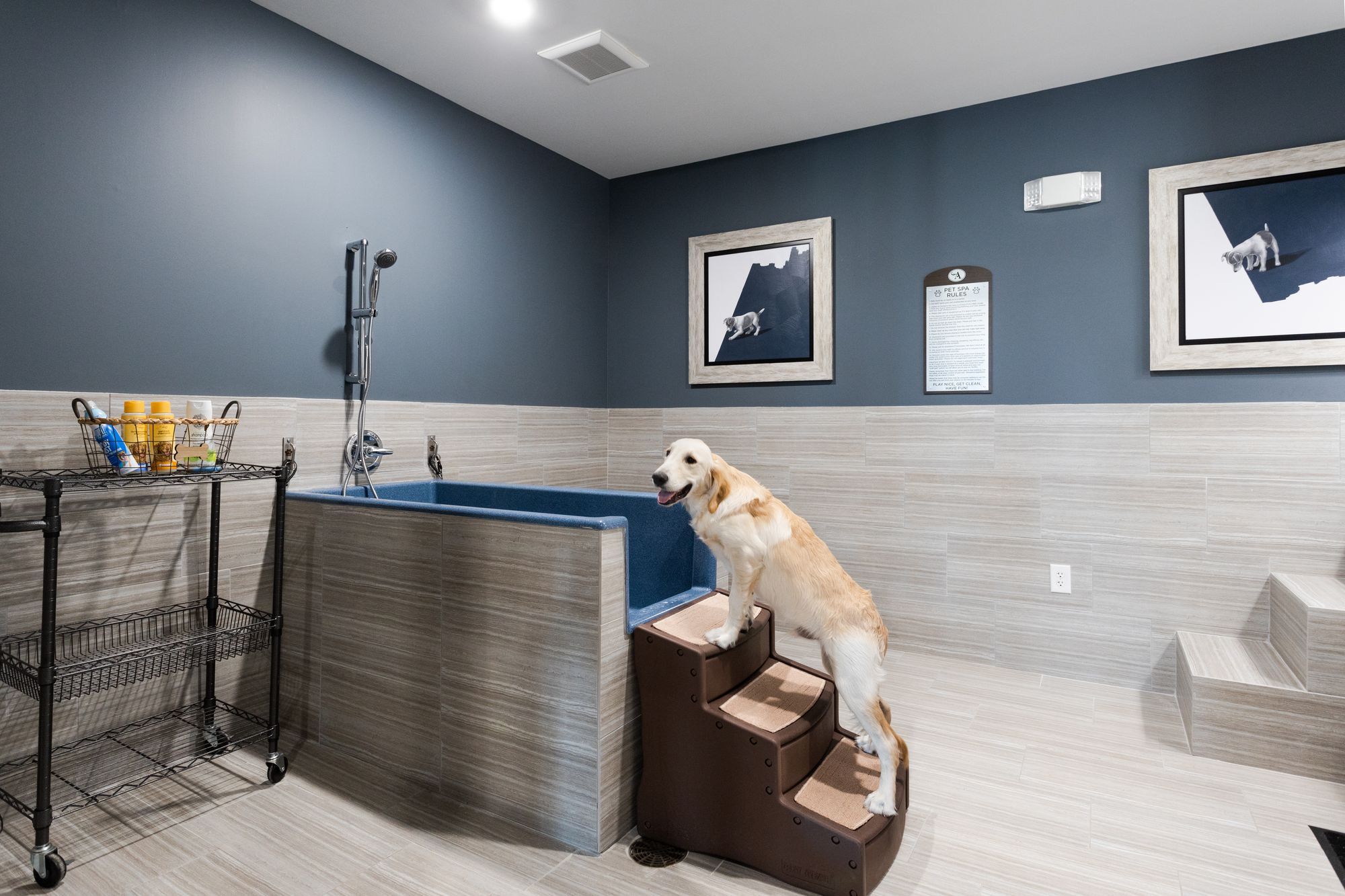 The Abbey at Sonterra Image 12