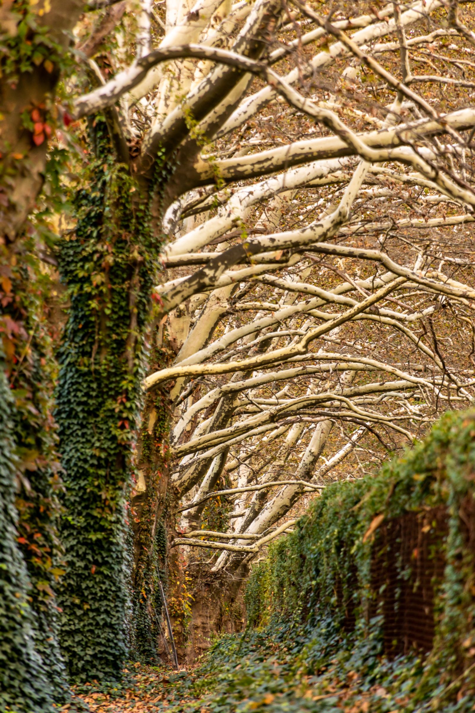 NorthLight Image 104