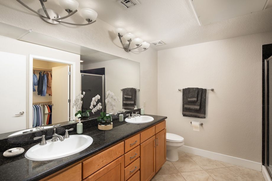 Camden Sotelo Image 5