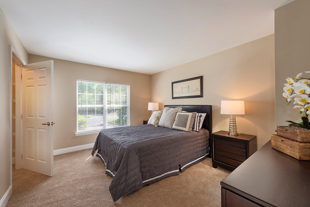 Stuart Hill  Image 11