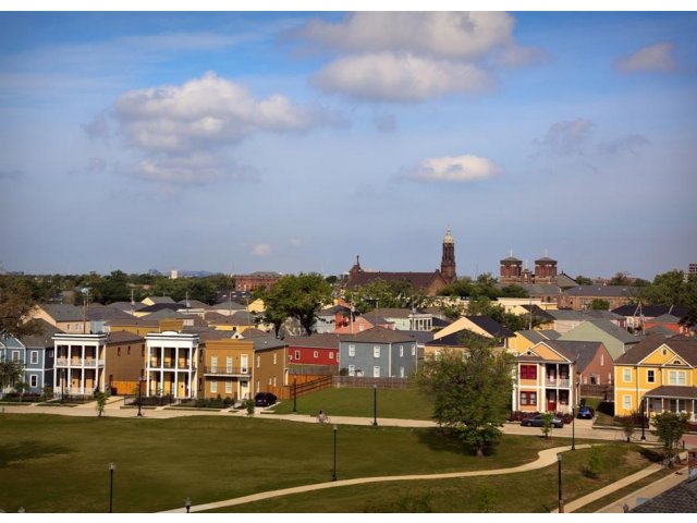Neighborhood & Park Views