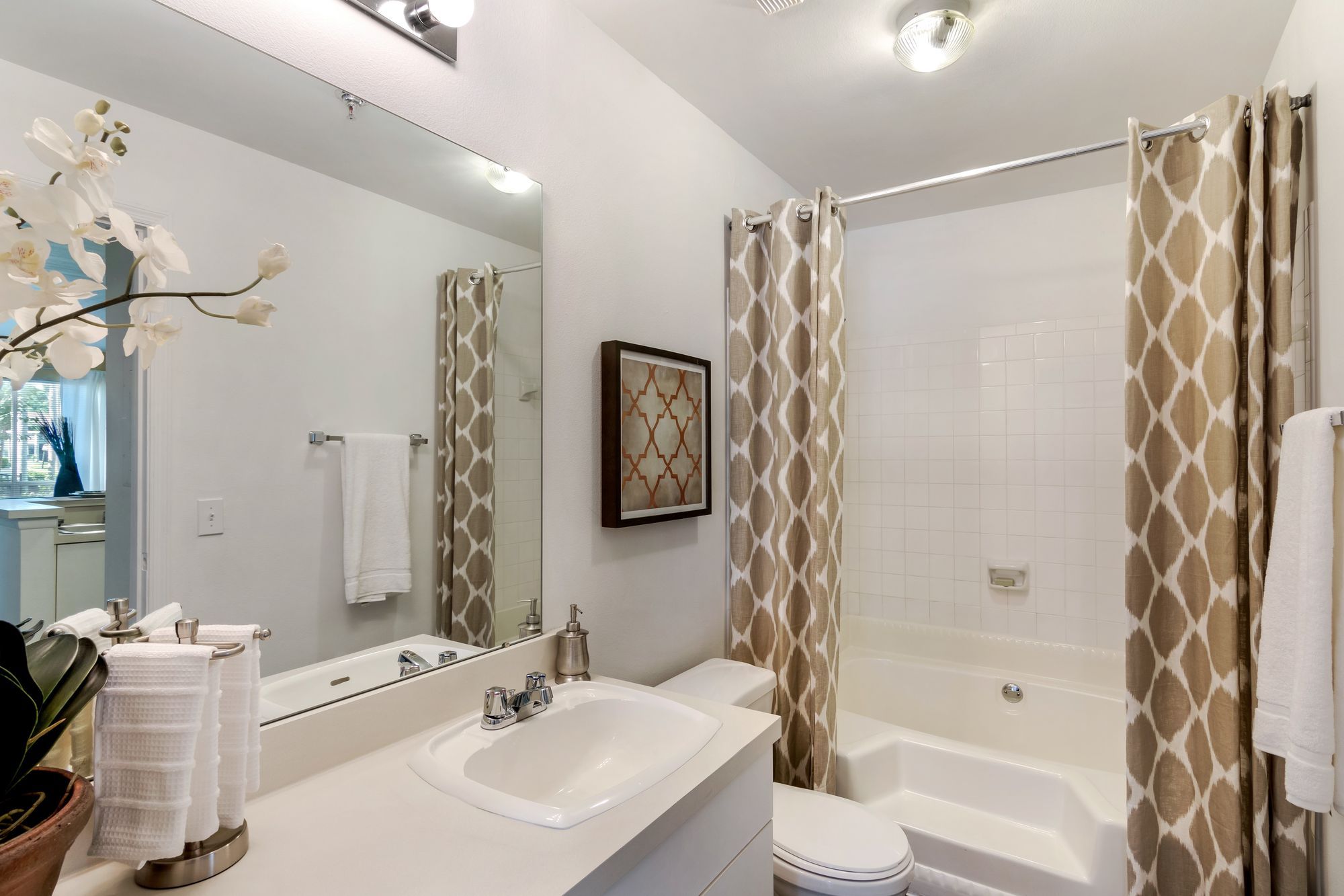 Arium Citrus Run Image 11