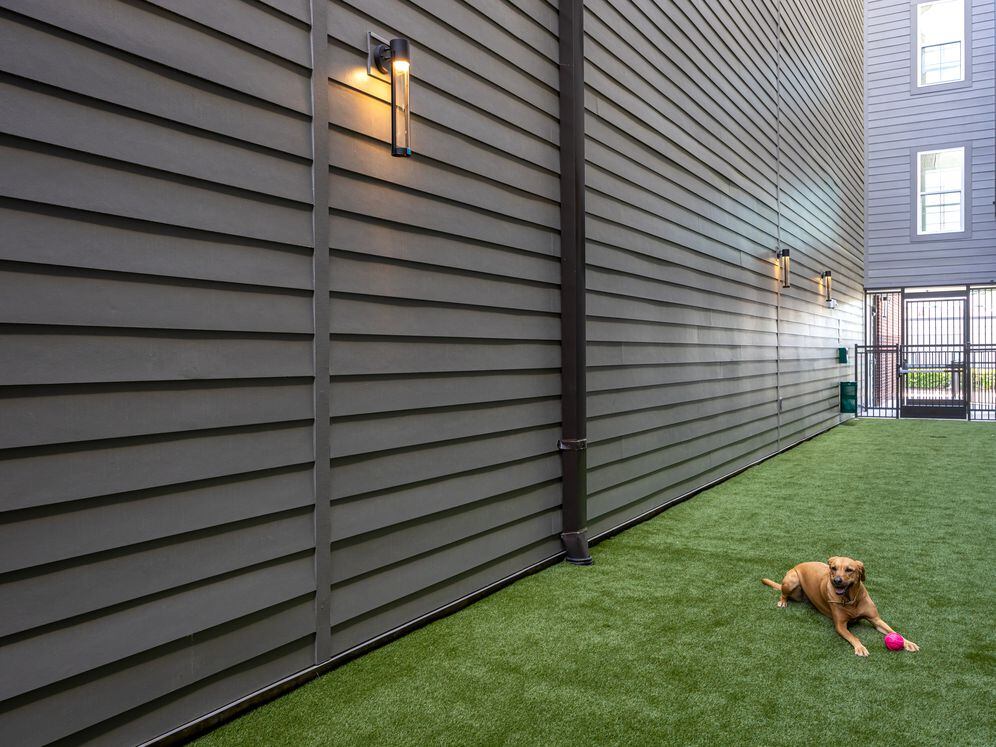 Pet-friendly with WAG Dog Run