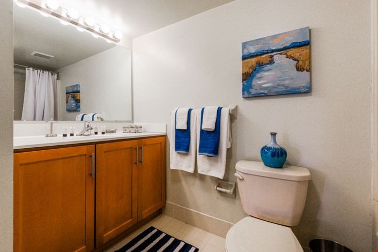 Bathroom with Storage