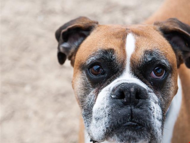 OXBO Urban Rentals Image 21