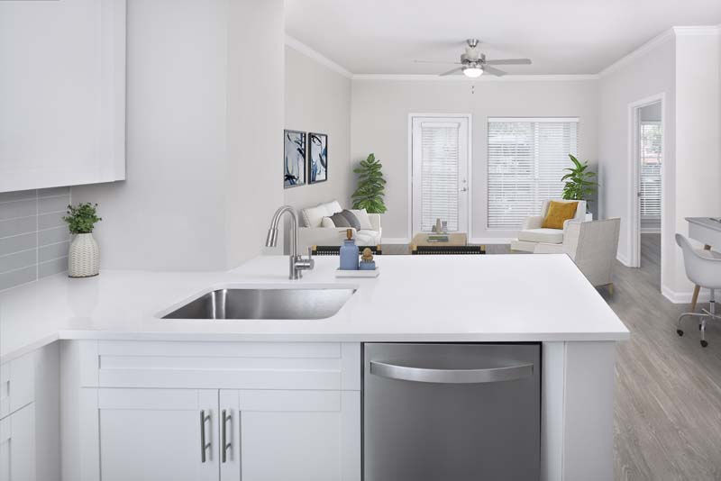 Camden Phipps Image 1