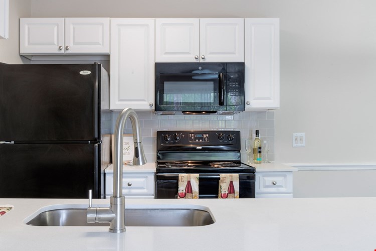 Central Park Image 5