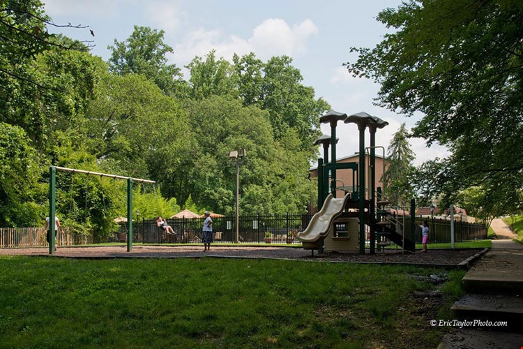 Crystal Woods Image 7