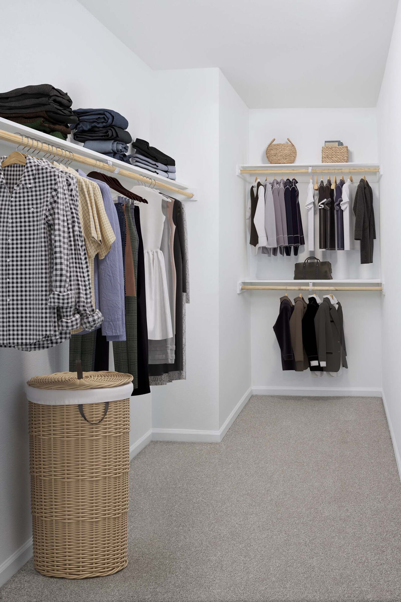 Camden Ballantyne Image 6