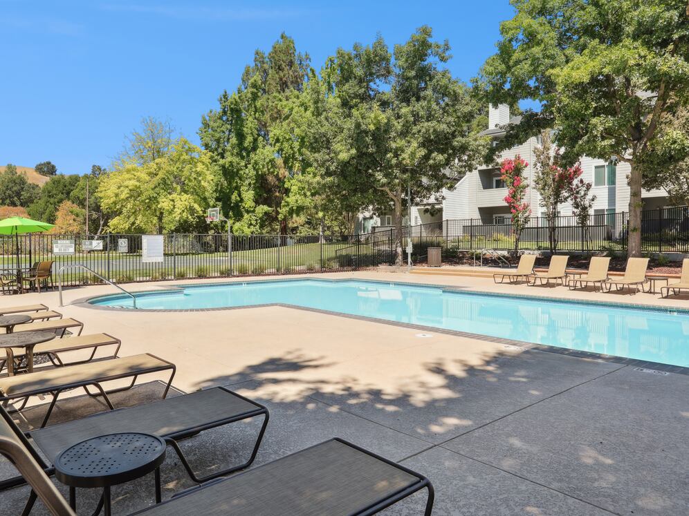 Swimming pool and sundeck