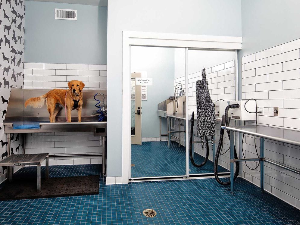 Pet-friendly community with WAG Pet Spa