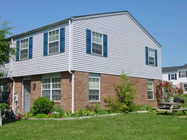 The Village Of Carrollwood Image 2