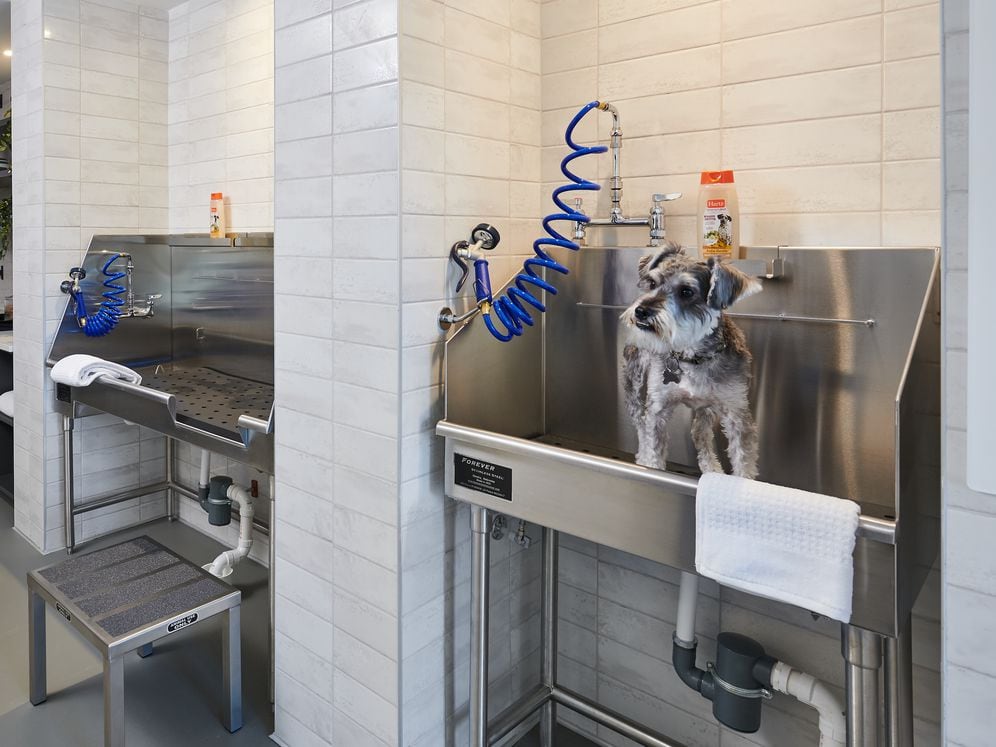 Pet-friendly community with WAG Pet Spa