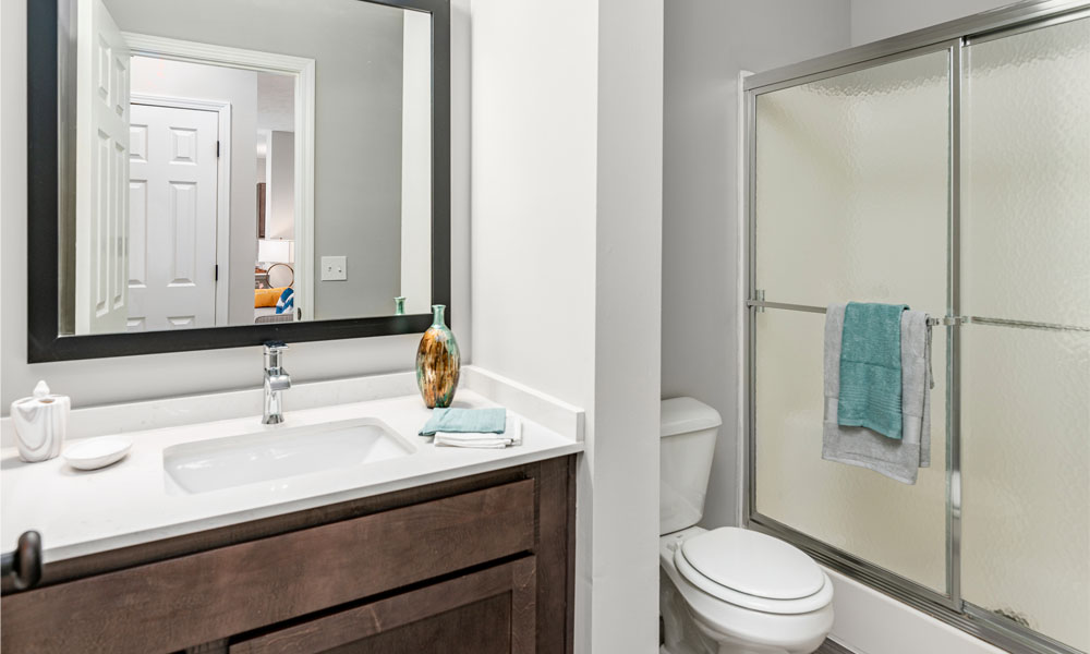 Elevate on main Image 8