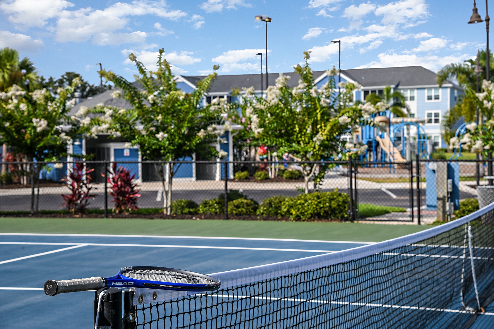 Blue Heron Living Image 20