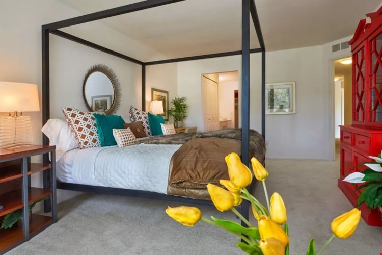 Aldingbrooke Image 19