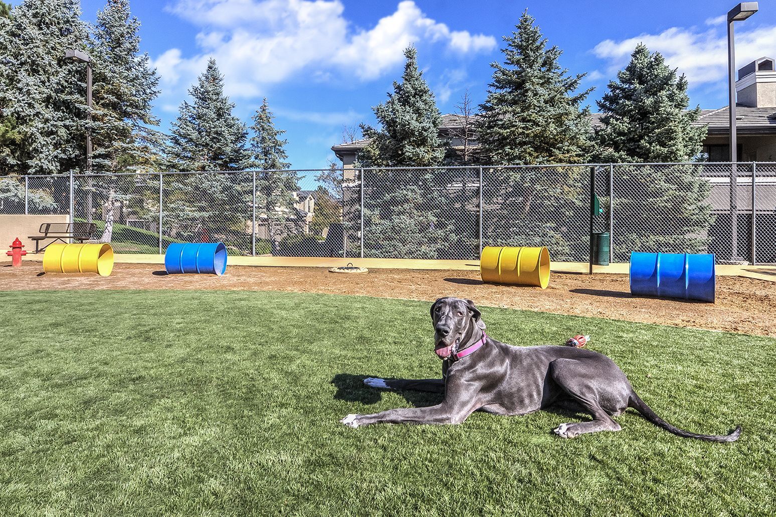 Camden Highlands Ridge Image 21