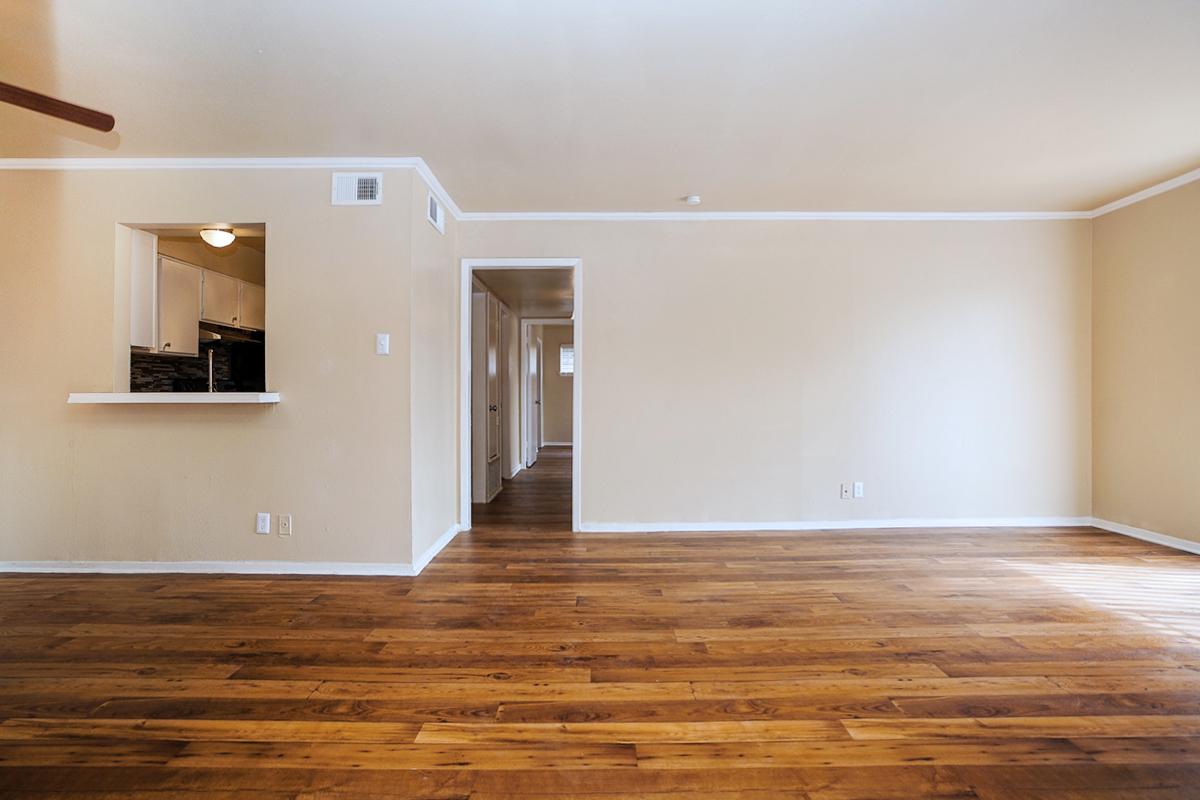 Boston Woods   Image 6