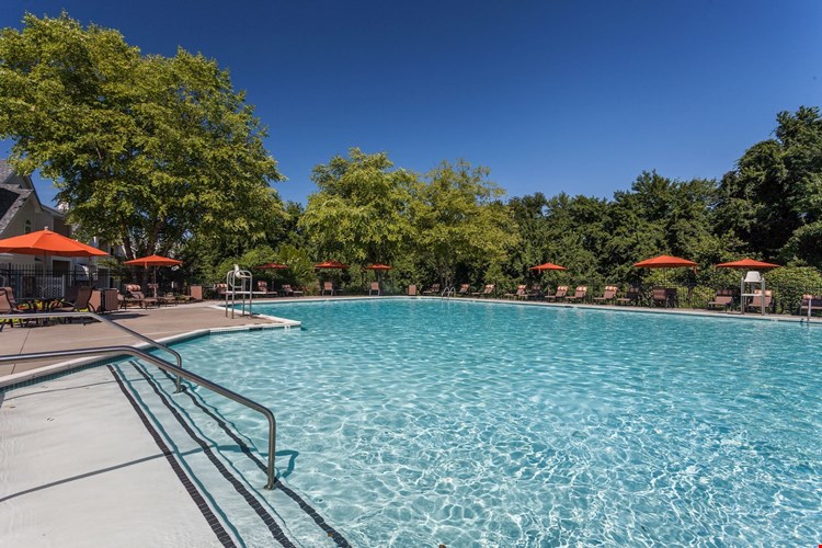 The Courts of Avalon Image 24