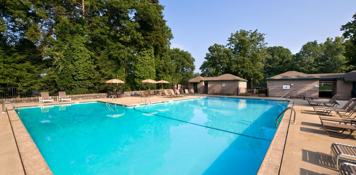 Paladin Club Image 2