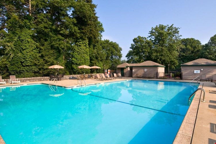 Paladin Club Image 2