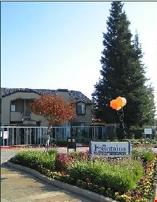 The Fountains Image 2