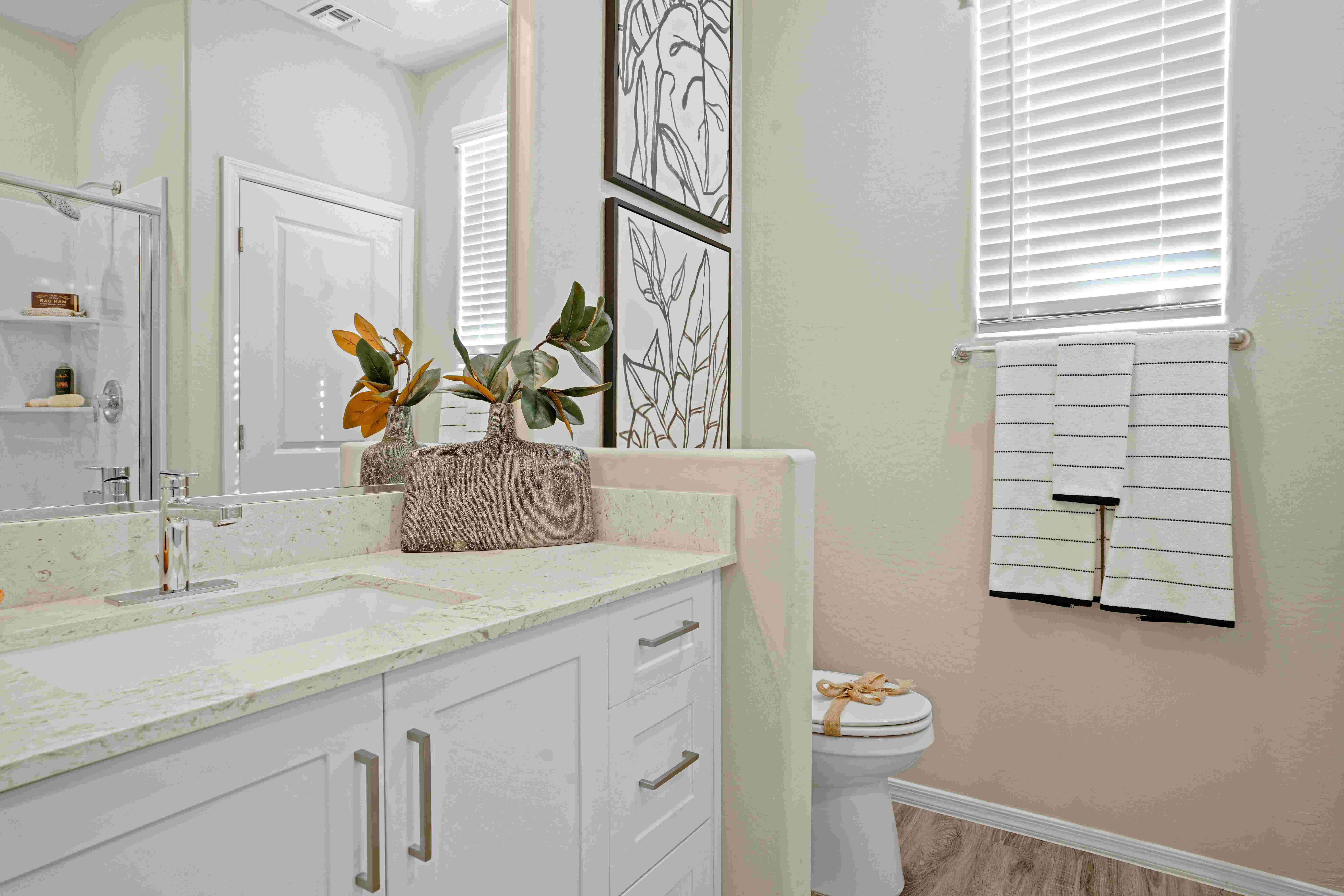 Soleil at Canyon Trails Image 9