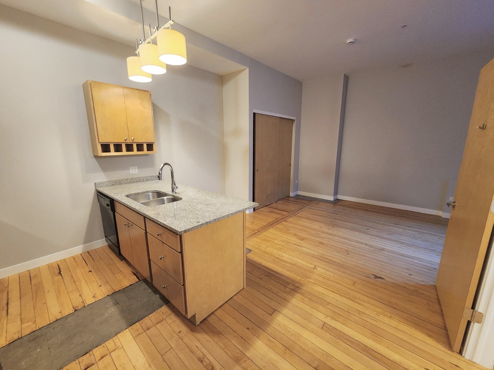 Pioneer Endicott Image 56