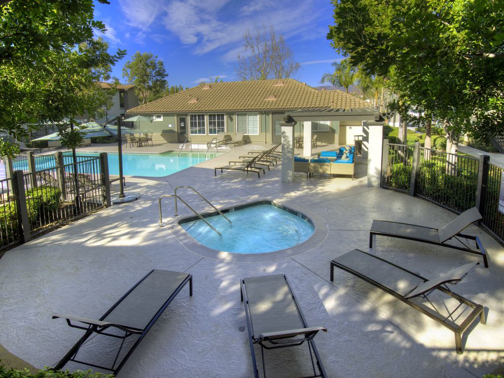 Swimming Pool And Spa