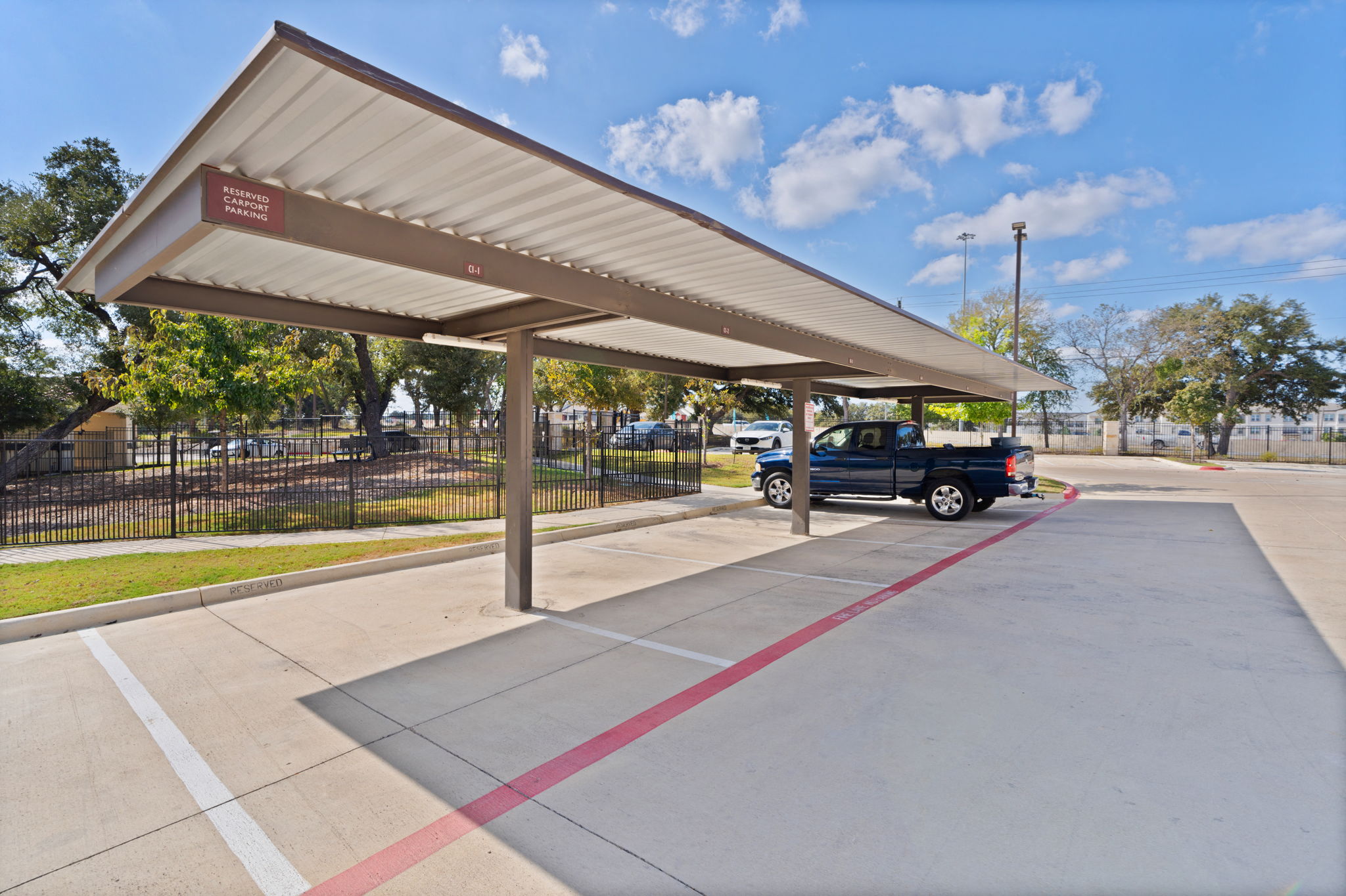 Water Oak Image 89