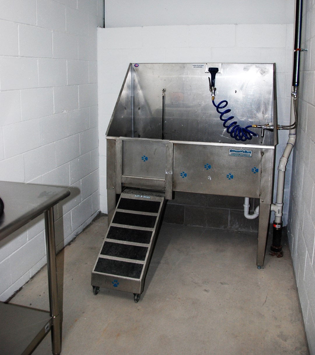 Zest Image 12