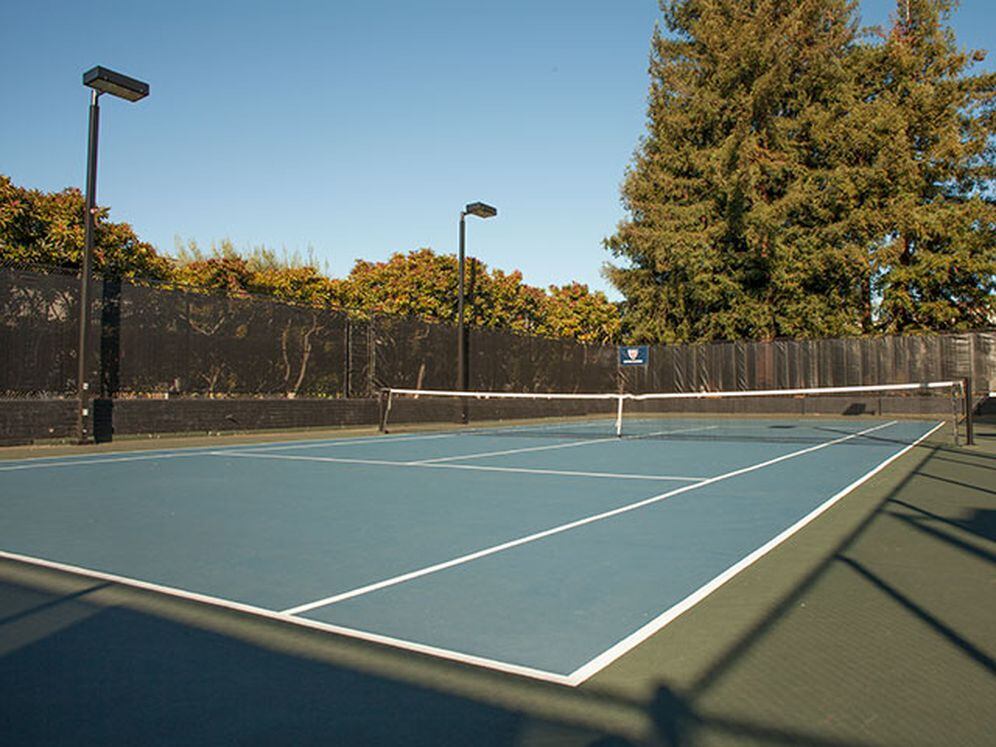 Tennis court