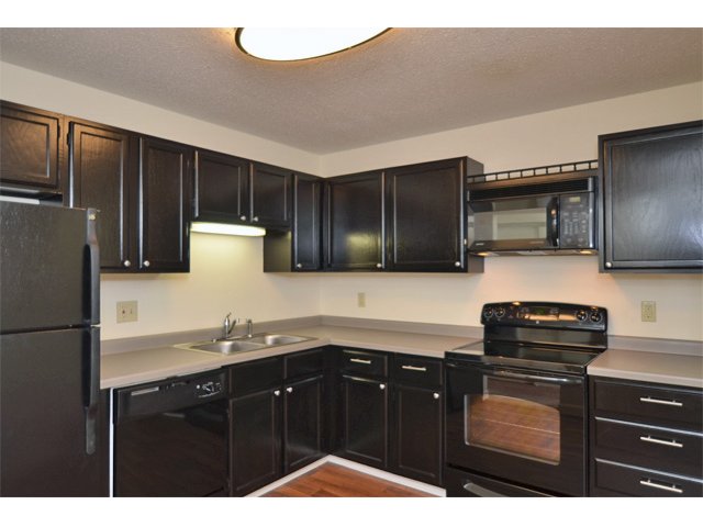 Newly Renovated Apartments