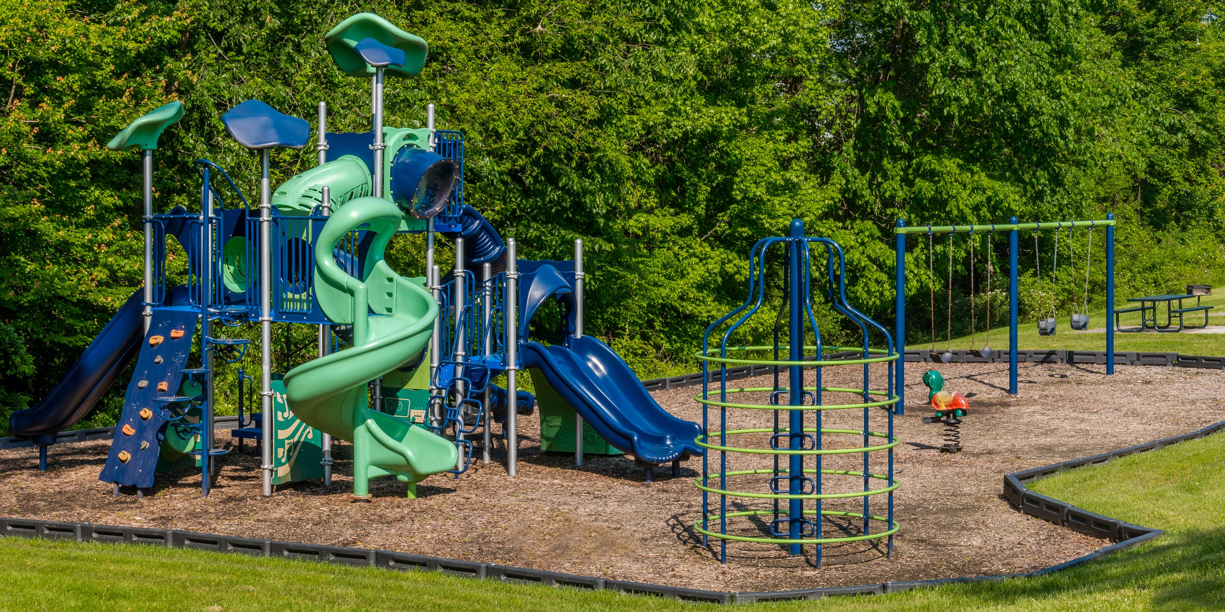 Alvista Bowie Image 4